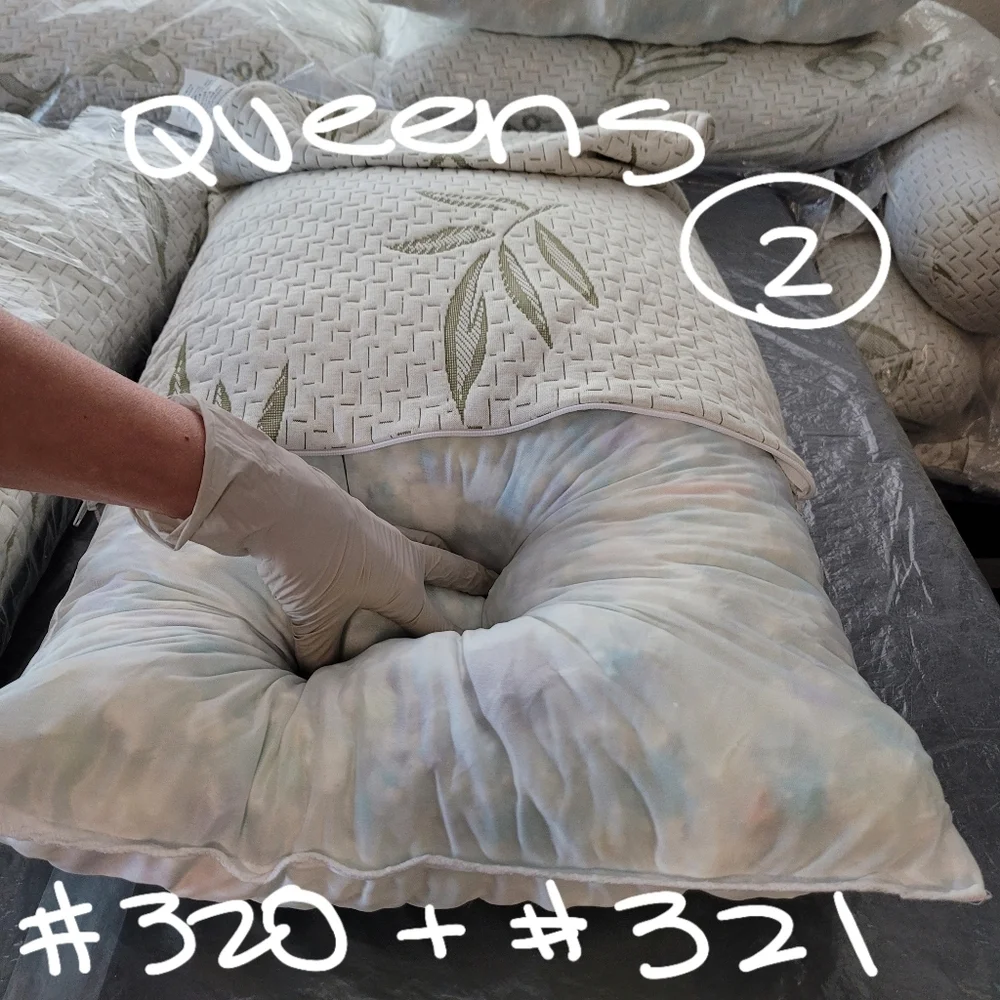 Set of 2 Pillows & Removable Bamboo Covers #320 & 321 Costco